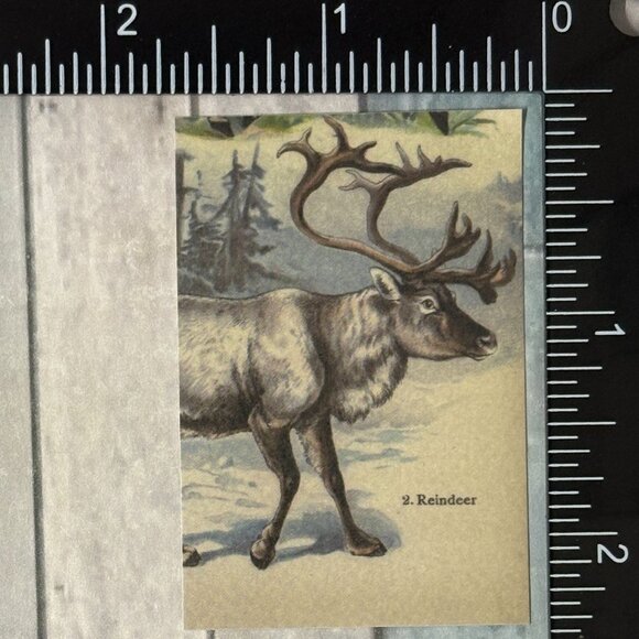 🌀10/$10🌀 Classic Hoofed Beasts Reusable Washi Sticker Decal - Picture 1 of 1